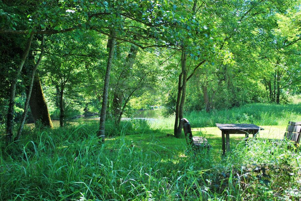 Saint-Germain-de-Salles Domaine Les Gandins B&B 외부 사진