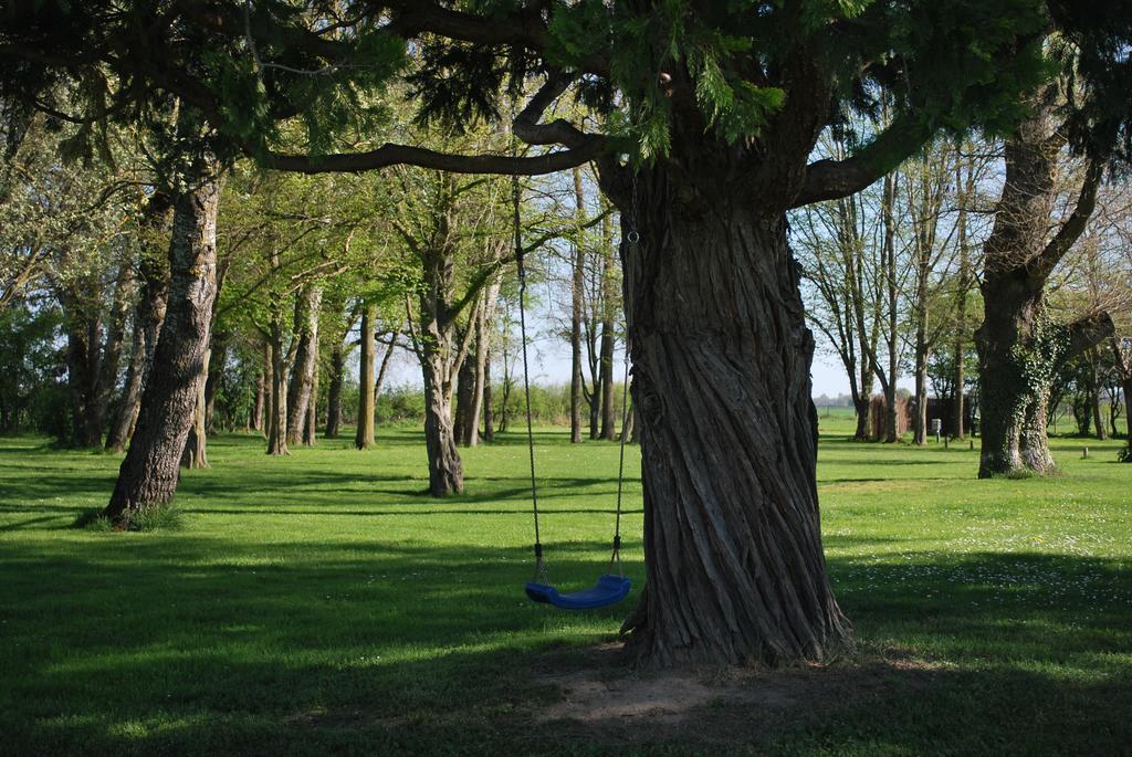 Saint-Germain-de-Salles Domaine Les Gandins B&B 외부 사진